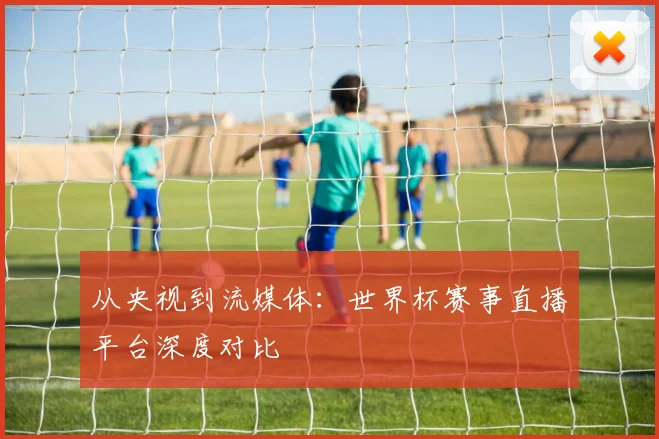从央视到流媒体：世界杯赛事直播平台深度对比