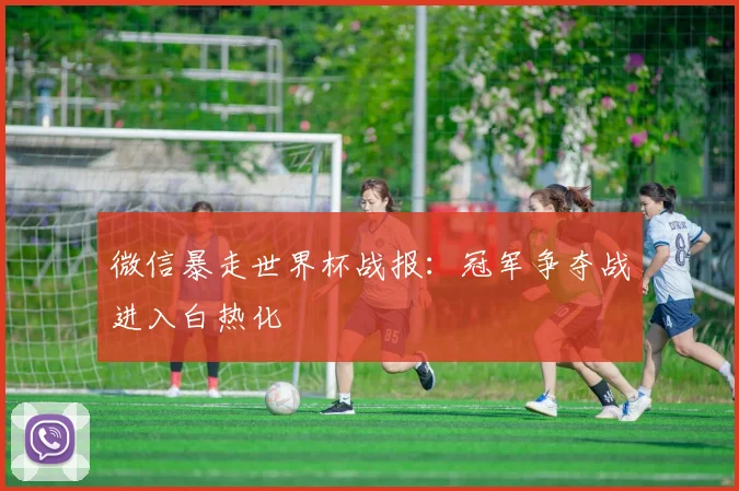 微信暴走世界杯战报:冠军争夺战进入白热化