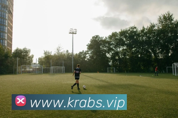 开云官方在线登陆入口APP 封面图